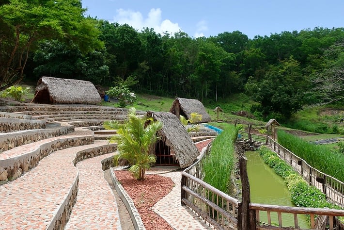 The Savannah of the Slaves in Martinique