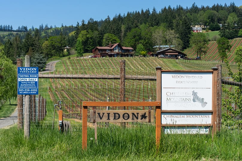Vidon Vineyard in Oregon