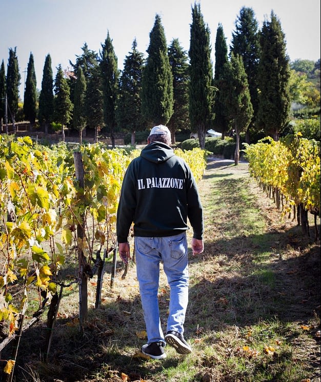 Dick Parsons walking through his vineyard in Italy