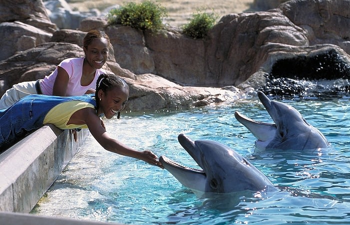 Two girls feeding dolphins at San Diego Sea World